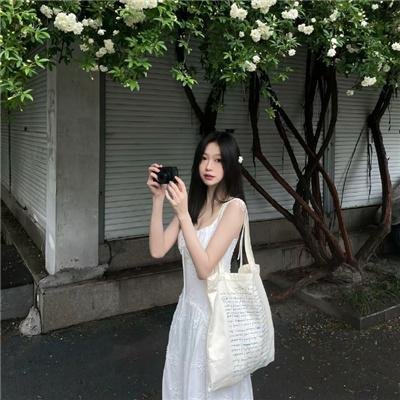 王朝消亡 海报